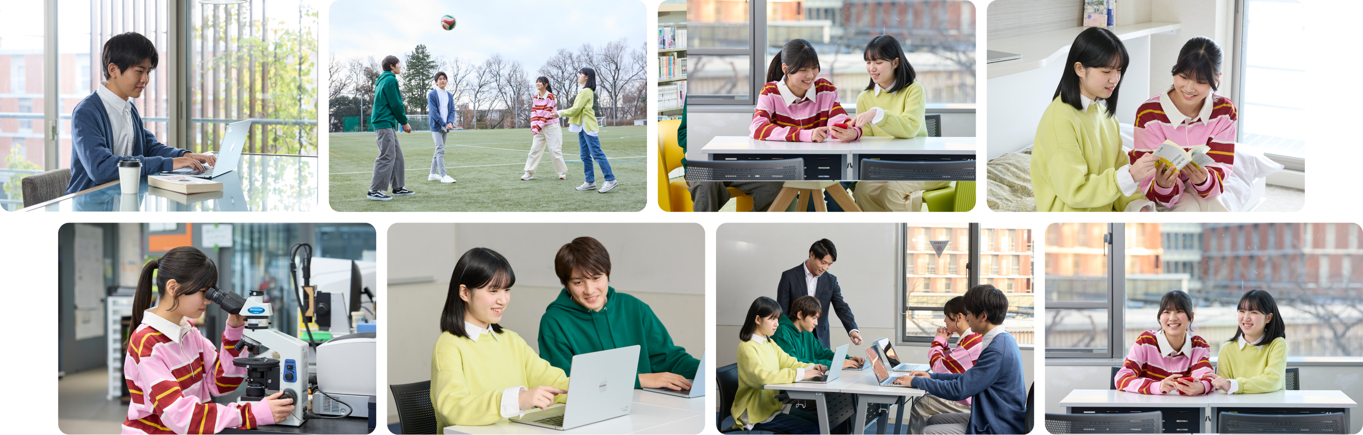 学校生活のダミー画像