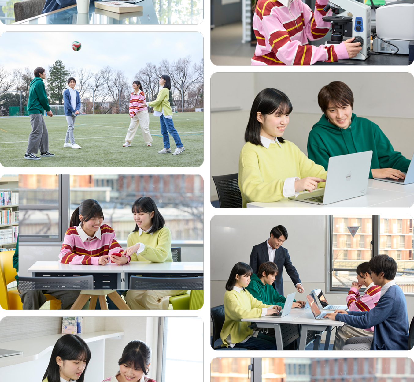 学校生活のダミー画像