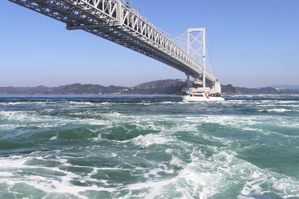 徳島拠点のイメージ