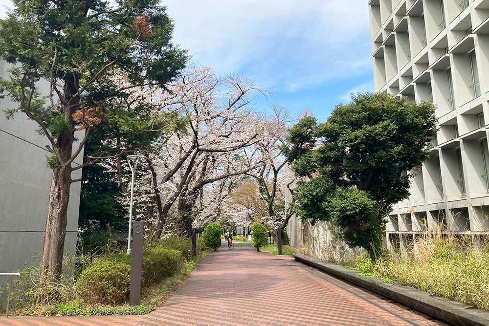 TOKYO NTT BASEの校舎外観